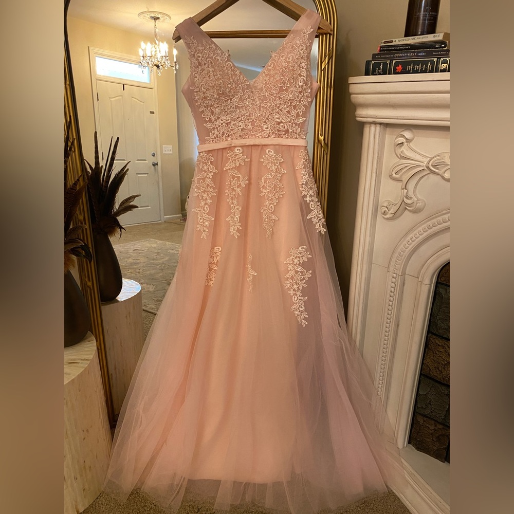 🚫SOLD🚫 Pink Blush Tulle & Appliqué Dress Ball Gown